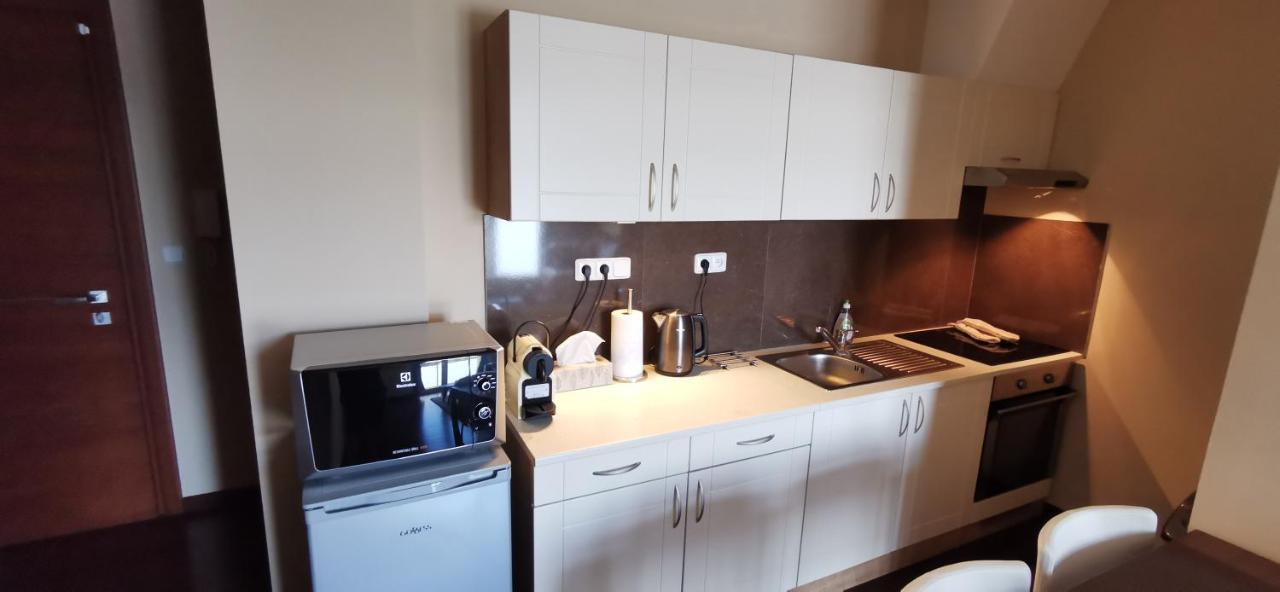 Moser Apartment Carlsbad Κάρλοβι Βάρι Εξωτερικό φωτογραφία