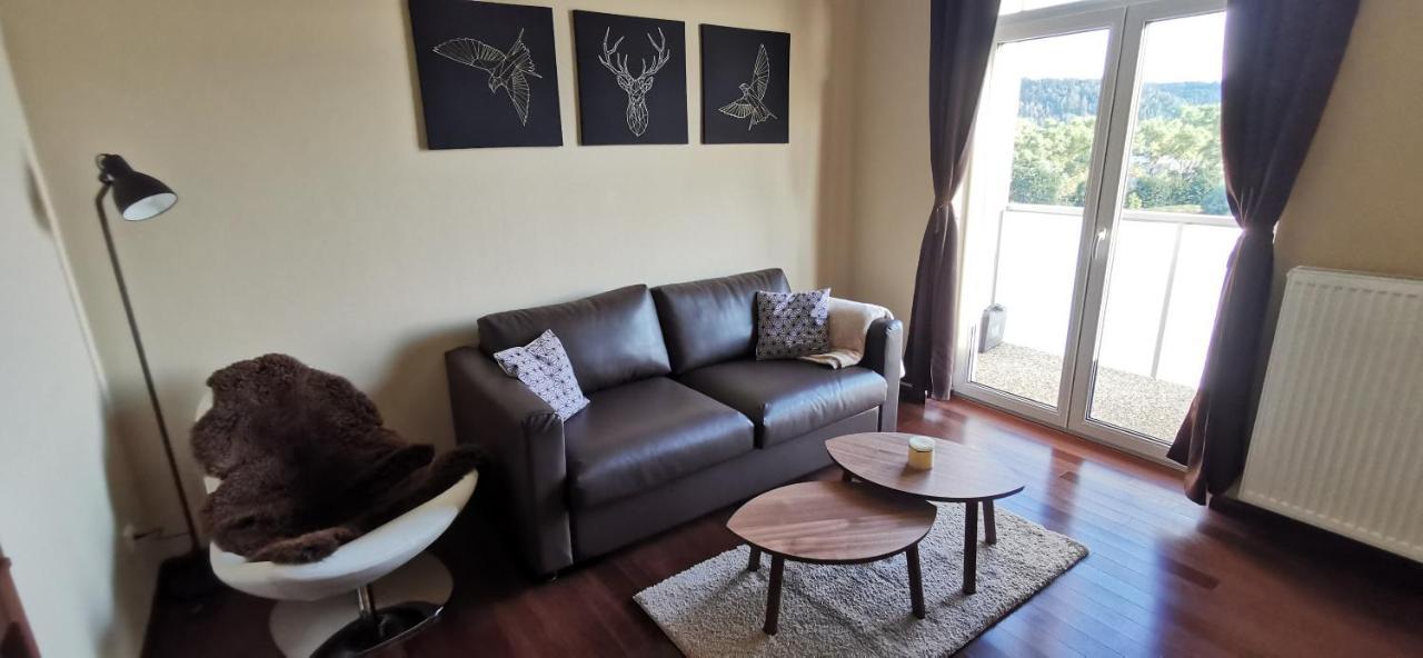 Moser Apartment Carlsbad Κάρλοβι Βάρι Εξωτερικό φωτογραφία