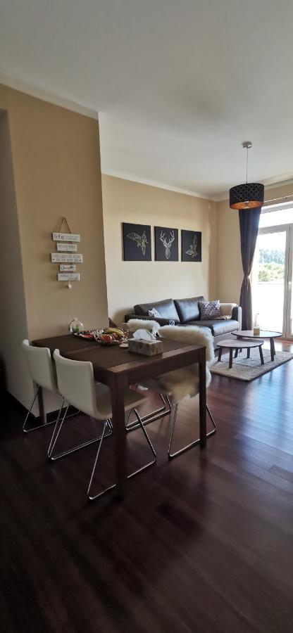 Moser Apartment Carlsbad Κάρλοβι Βάρι Εξωτερικό φωτογραφία