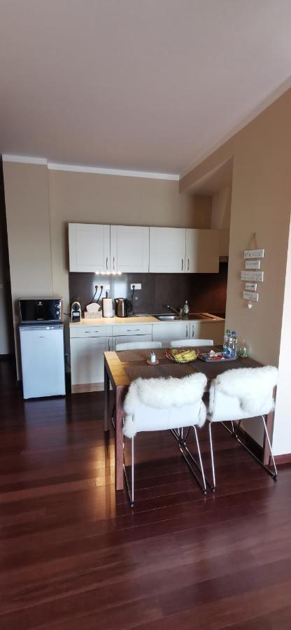 Moser Apartment Carlsbad Κάρλοβι Βάρι Εξωτερικό φωτογραφία