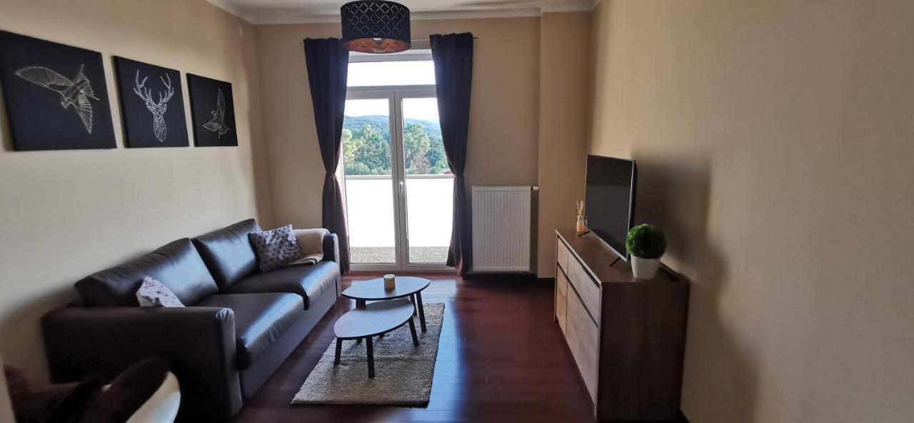 Moser Apartment Carlsbad Κάρλοβι Βάρι Εξωτερικό φωτογραφία