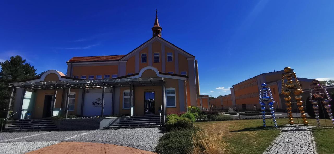 Moser Apartment Carlsbad Κάρλοβι Βάρι Εξωτερικό φωτογραφία
